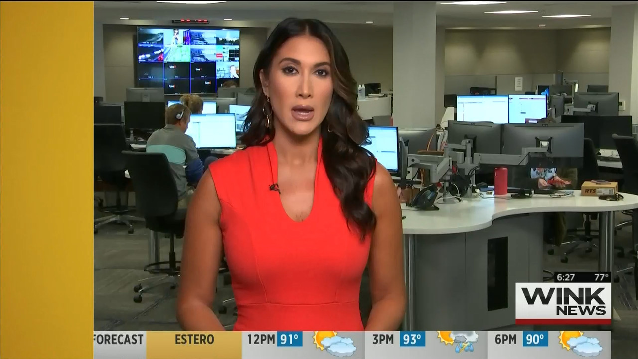 08 July - 11.00.00 - WINK News This Morning..ts_snapshot_17.06.414