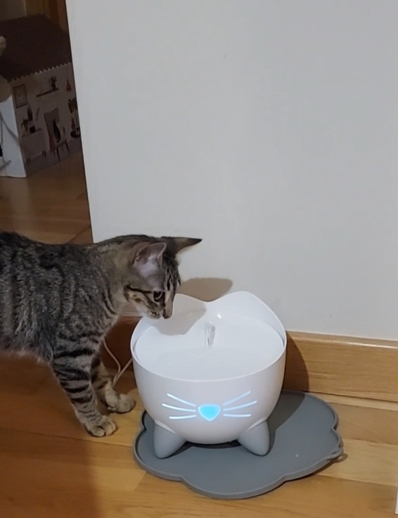 Screenshot_20220124-113527_Gallery