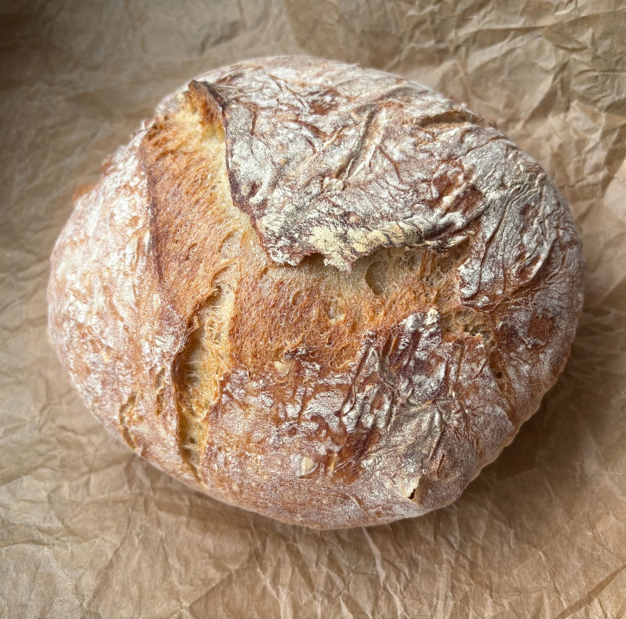 PHOTO 2026 03 22 14 03 59