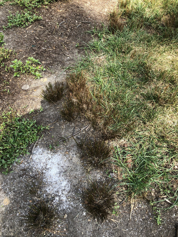 C02B02E5-1F24-4651-B8F2-B805965D2E42