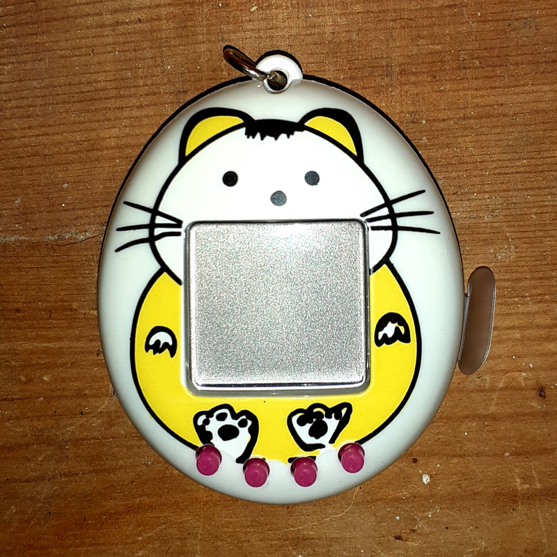 petogotchi cat petogotchi cat