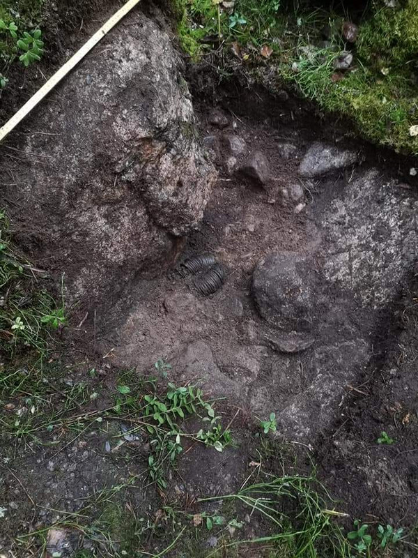 FB_IMG_1613161134549