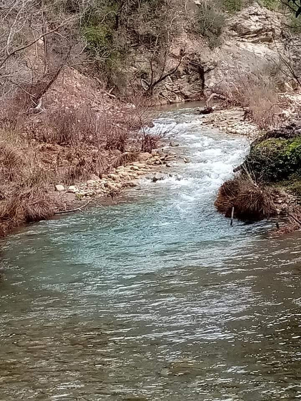 141787295_1823319457844919_4027911301521628689_n (1)