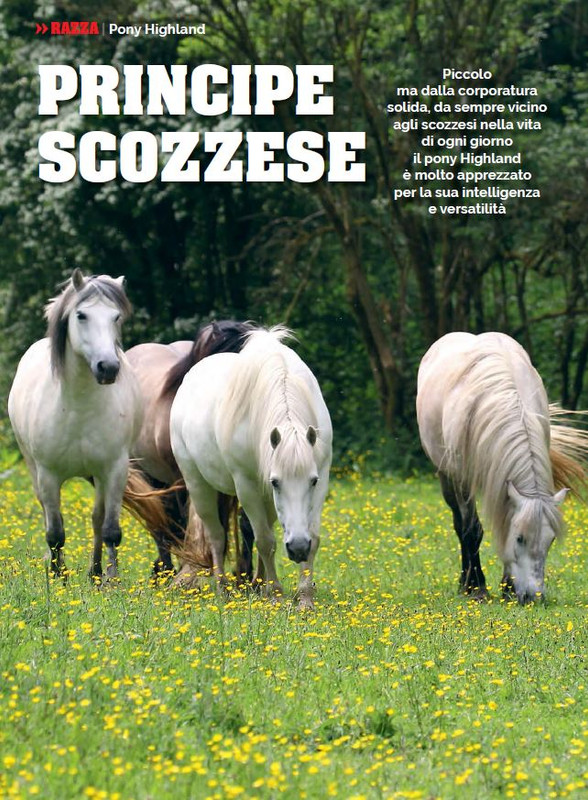 Il Mio Cav (Apr 2023) 3