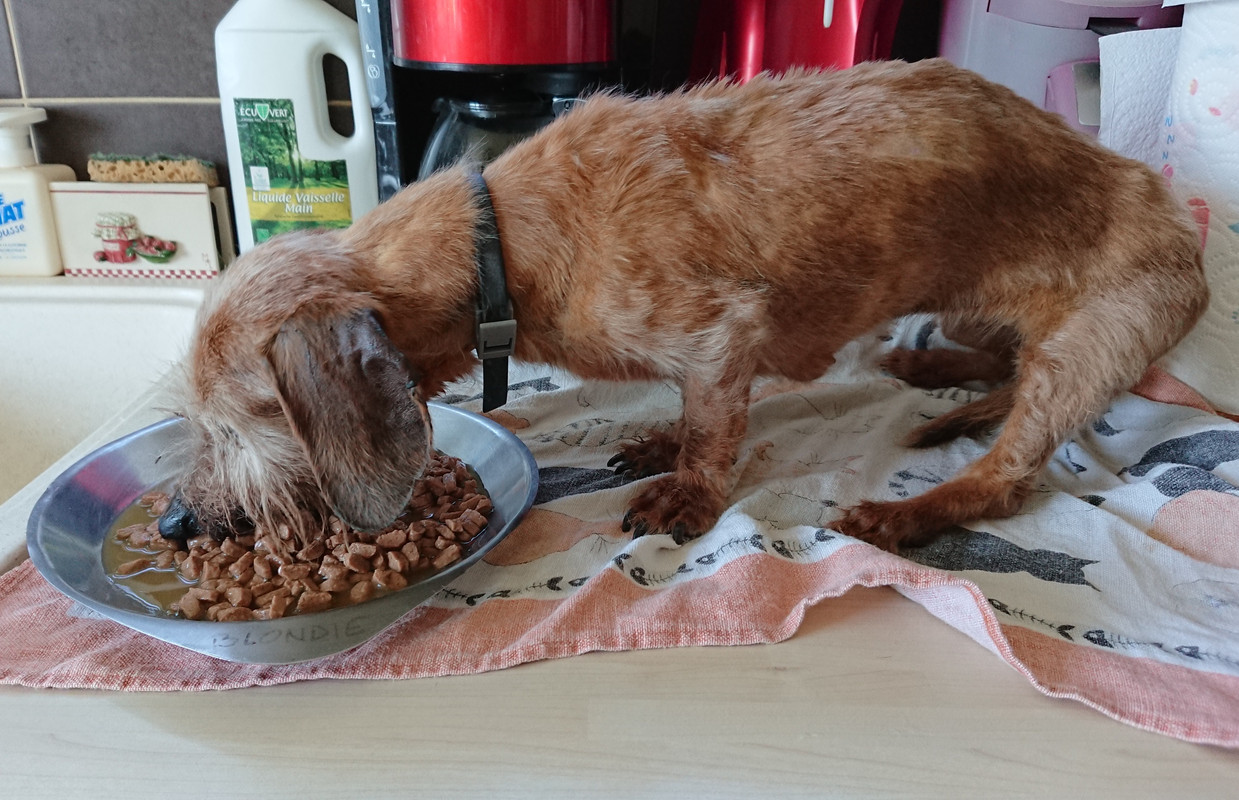 [Image: 20220904-110616.jpg]