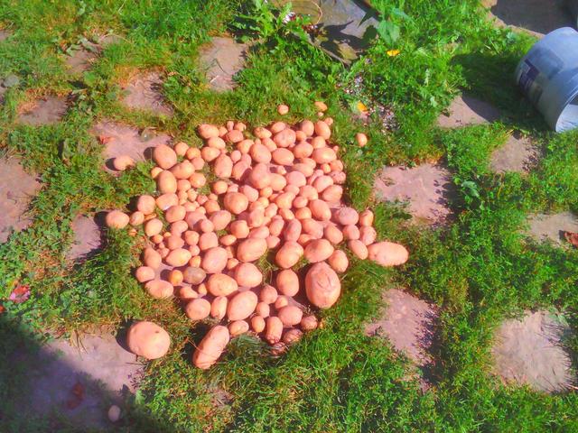 Lenovo_A1000_IMG_20170814_160216