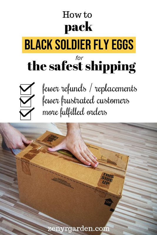 how-to-pack-black-soldier-fly-eggs-for-shipping-pin.jpg