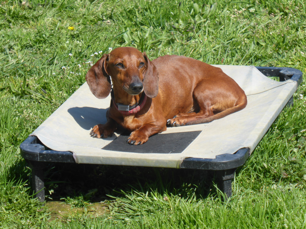 [Image: P1020556.jpg]