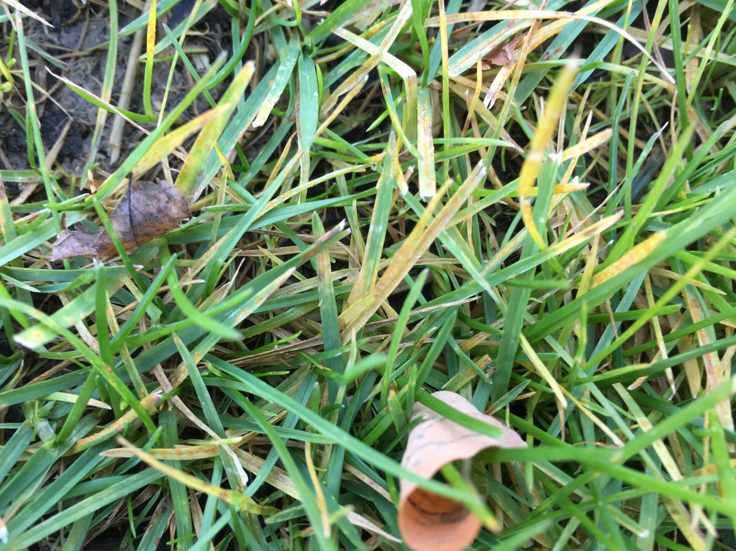 873CD73F-EED0-40CB-81C5-E57C10B04AA9