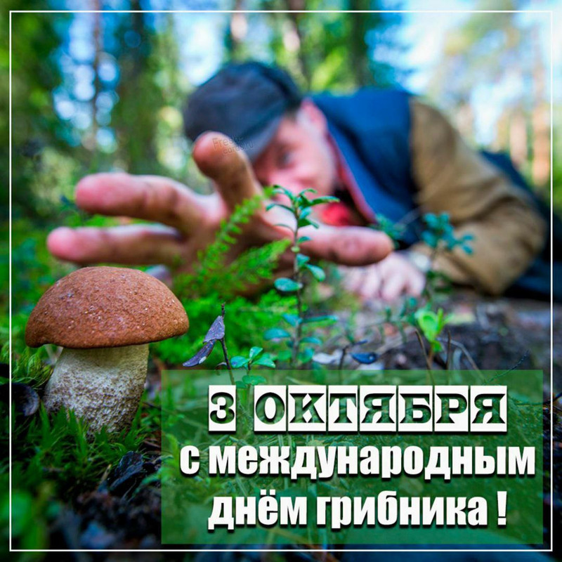 IMG_20231003_120715_426