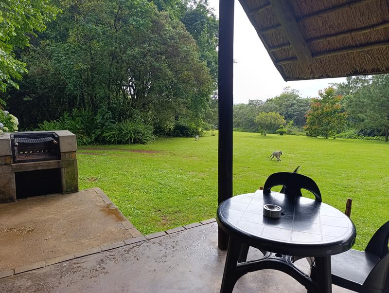 Такая близкая Африка. (ЮАР. 22 дня и 4200 км. Ноябрь-Декабрь) Такая близкая Африка. (ЮАР. 22 дня и 4200 км. Ноябрь-Декабрь)