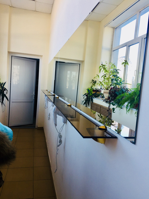 E135CA9A-24C3-405A-809F-9932F3DD14C4