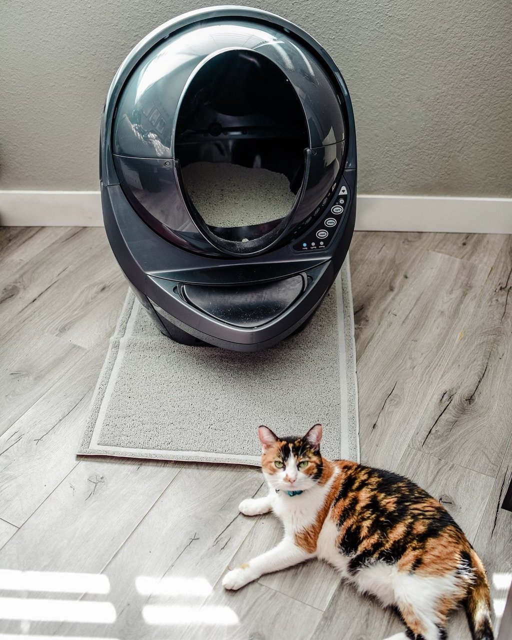 Litter Robot