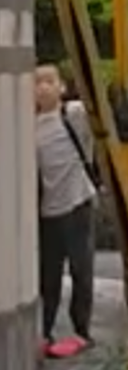 豊津第二小学校のお手ふりロイヤル集団ストーカー小学生2