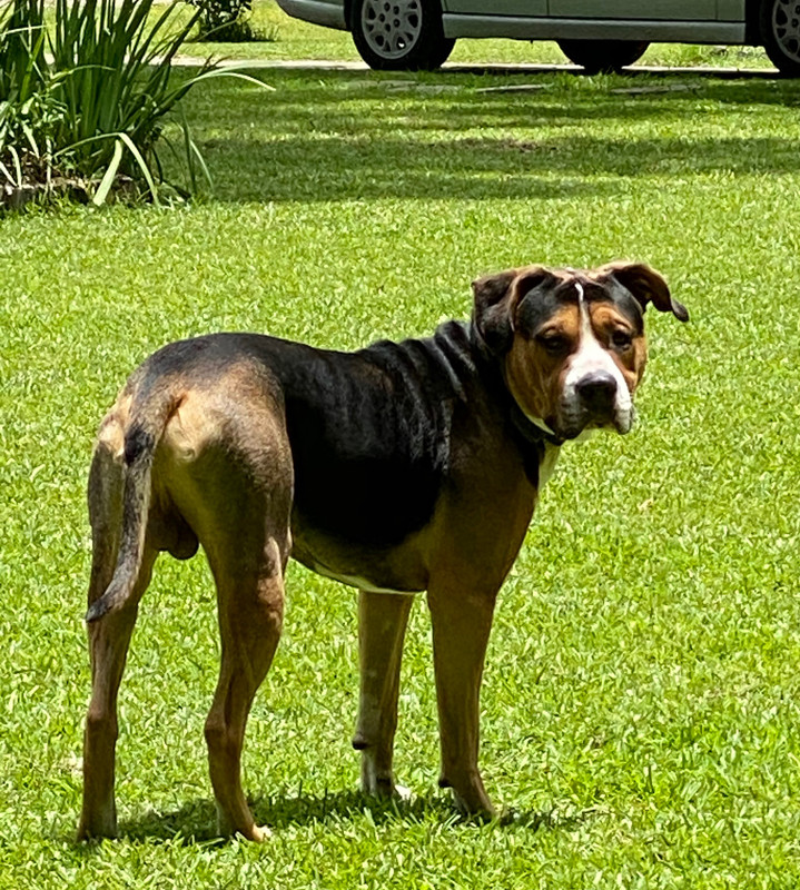 D10C3662-38DC-4E0F-BD13-88AE2C7864CA