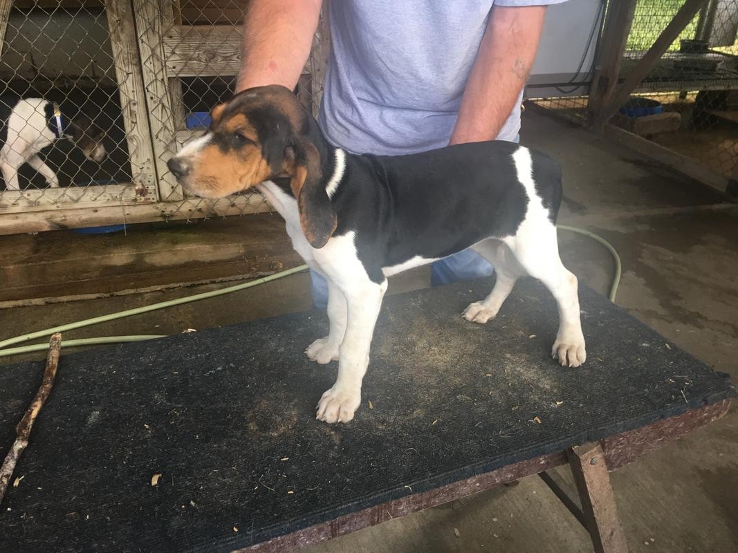 1F3C0D7F-5DF2-410E-A2D6-98777DFAB98B