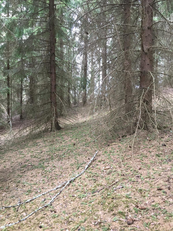 7D69896A-6FE4-40C5-AEA5-0B94E56FB7E7