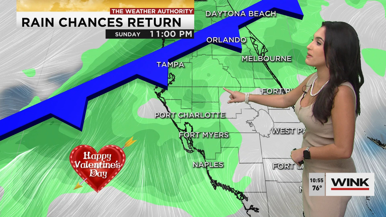 02.09 - 15.00.00 - WINK News at 10 00 a.m..ts_snapshot_00.56.53.392