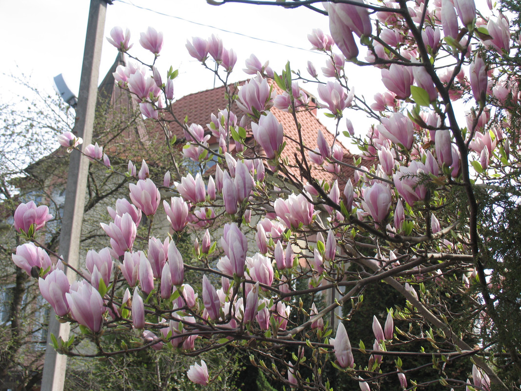 11 апреля 2024 019