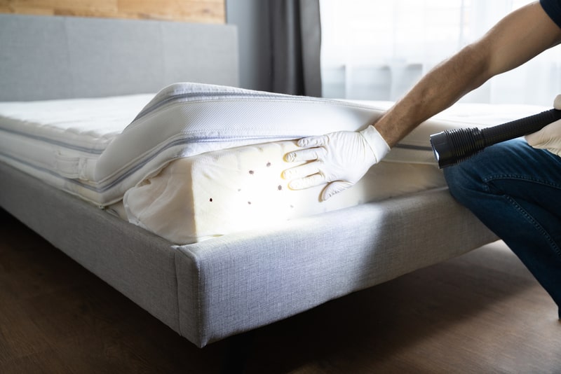 Kissimmee Bed Bug Treatment