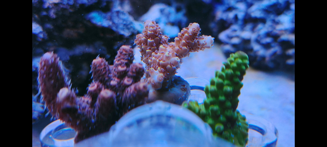 Screenshot 2026 01 20 17 54 36 28 99c04817c0de5652397fc8b56c3b3817