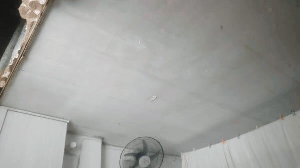圖檔
