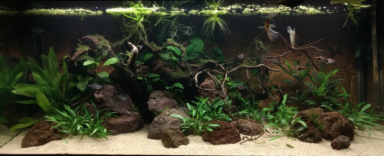 IMG_20180610_215132968-01