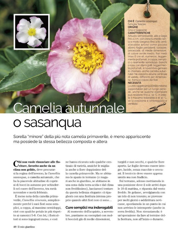 Il Mio Giar Nov-Dic 2021 (6)