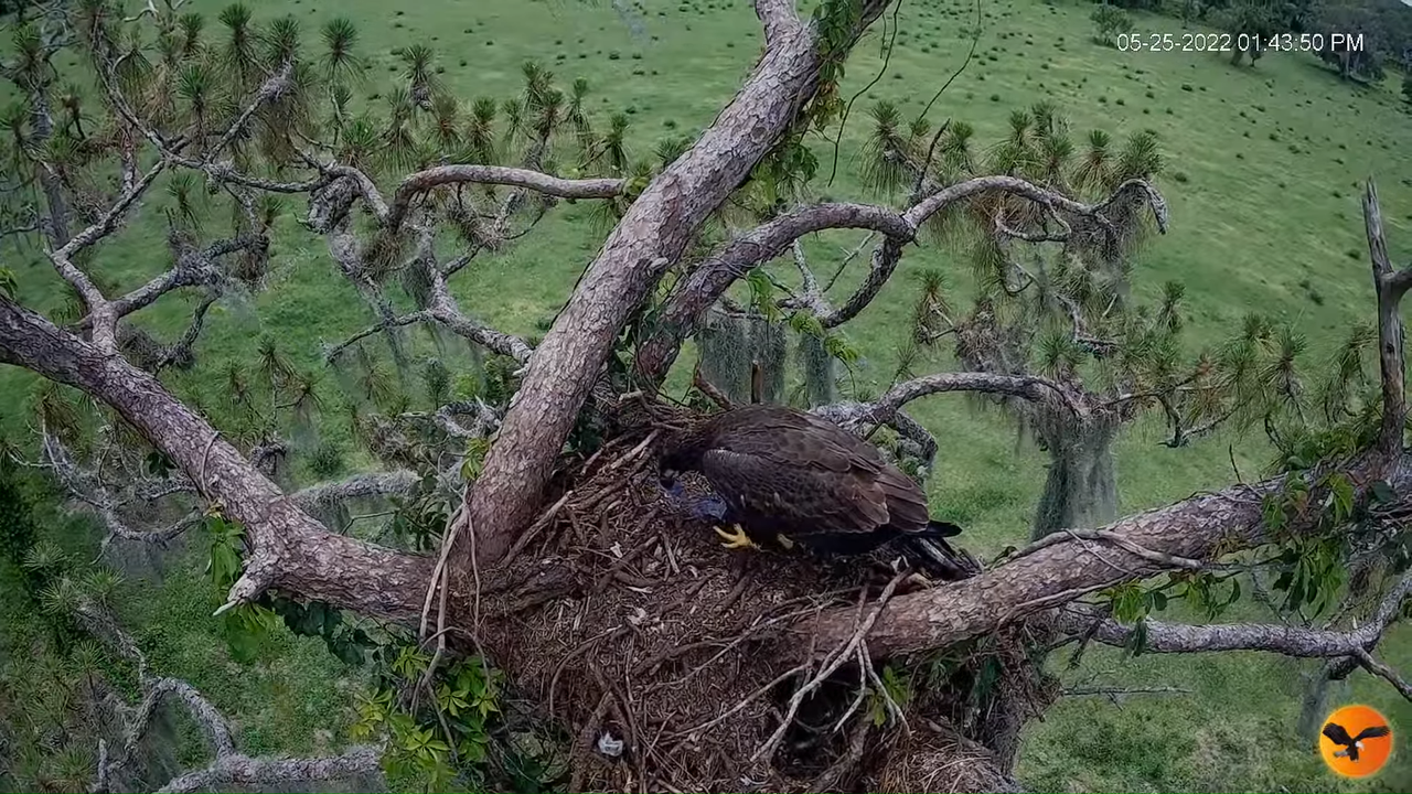 EC 4K Overhead Cam 12-42-26 screenshot