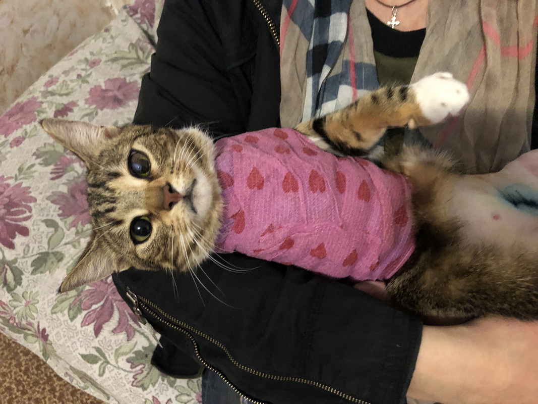 834ECFE4-E022-4A17-9C5E-A84CBE84AA91