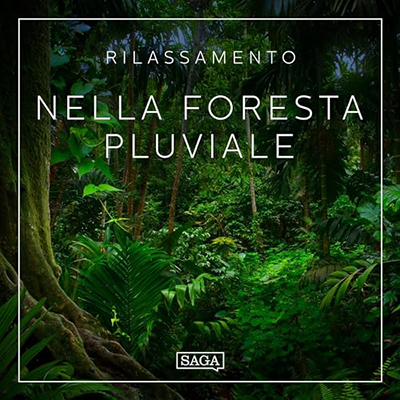 Rasmus Broe - Rilassamento꞉ Nella foresta pluviale (2023) (mp3 - 128 kbps)