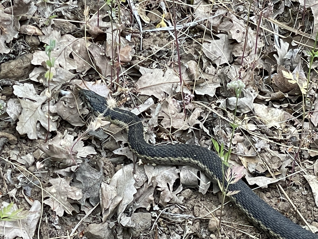 F5AA4A85-3D6C-4E59-9258-E25D8A81207A