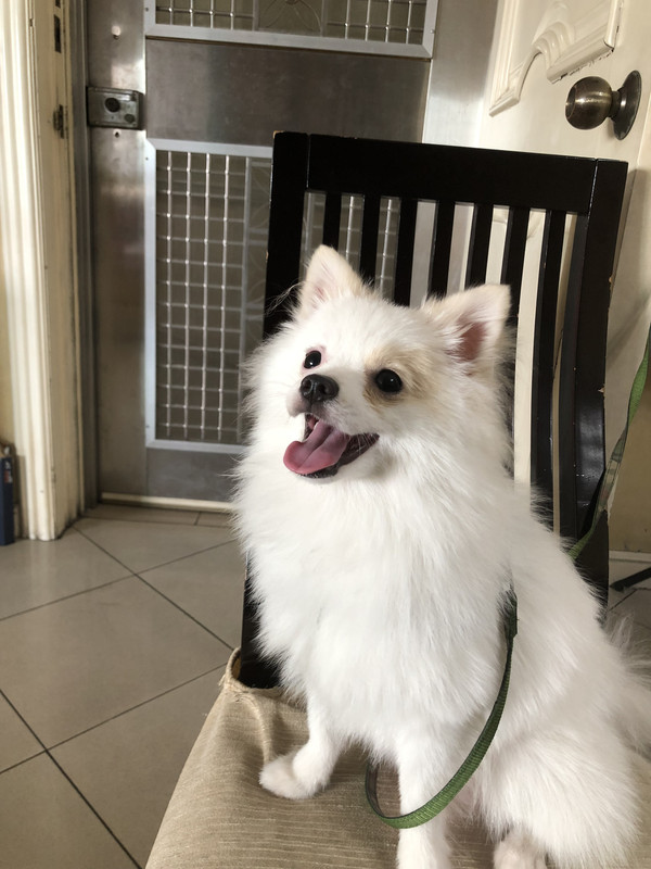 5A7324FF-0046-4A12-80D9-7B0266EC5208