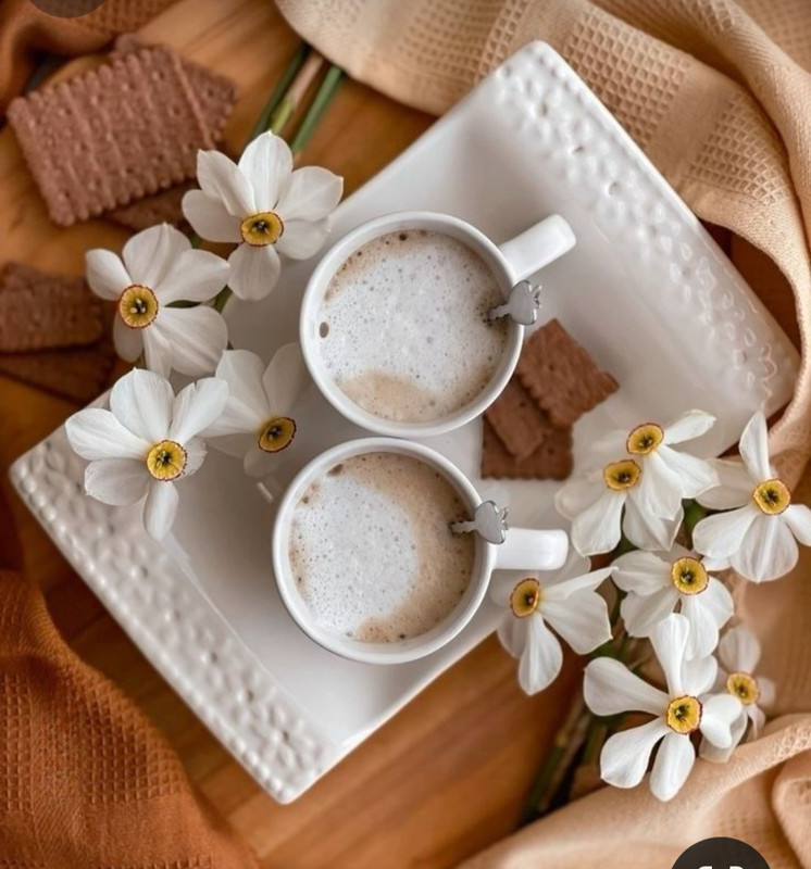 Screenshot_20240506_230629_Pinterest