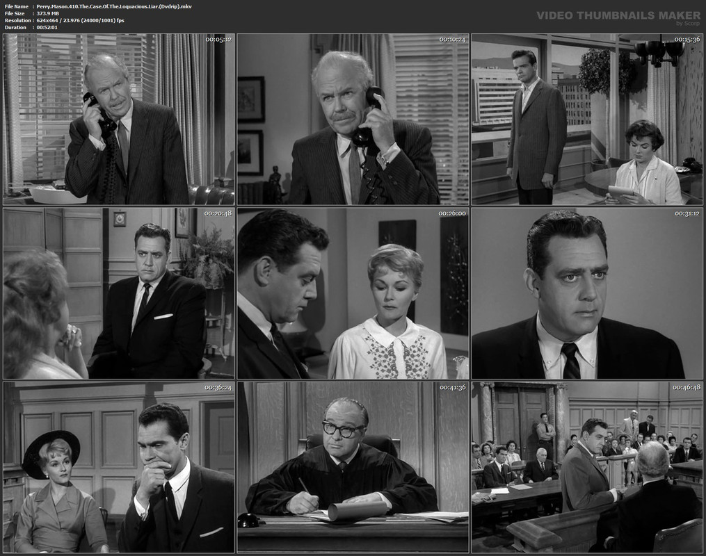 Perry.Mason.410.The.Case.Of.The.Loquacious.Liar.(Dvdrip).mkv