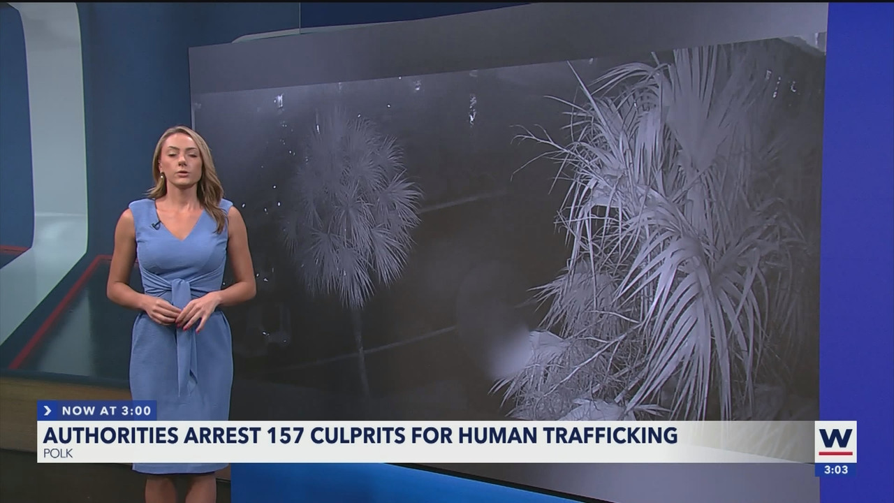WINK News at 3pm_20241017_20002100.ts_snapshot_00.04.20.226