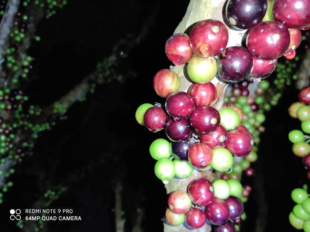 WhatsApp Image 2020-12-20 at 00.10.49 (37)