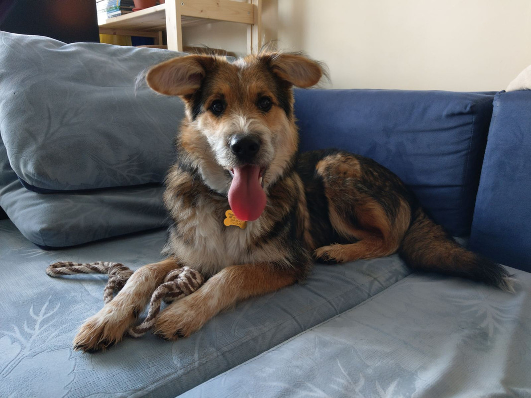 изображение_viber_2020-06-06_18-32-17