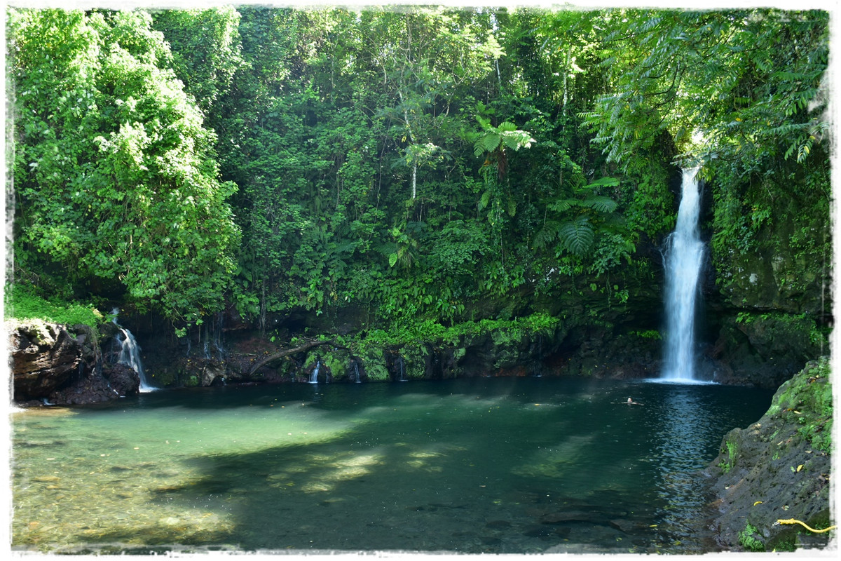 Talofa! Samoa, una perla en el Pacífico - Blogs de Samoa - Día 6. Savai’i: costa sur (8)