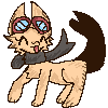 Desert Dweller Cat!!