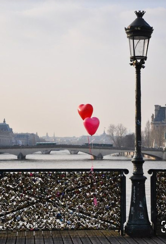 Screenshot_20240214_111956_Pinterest