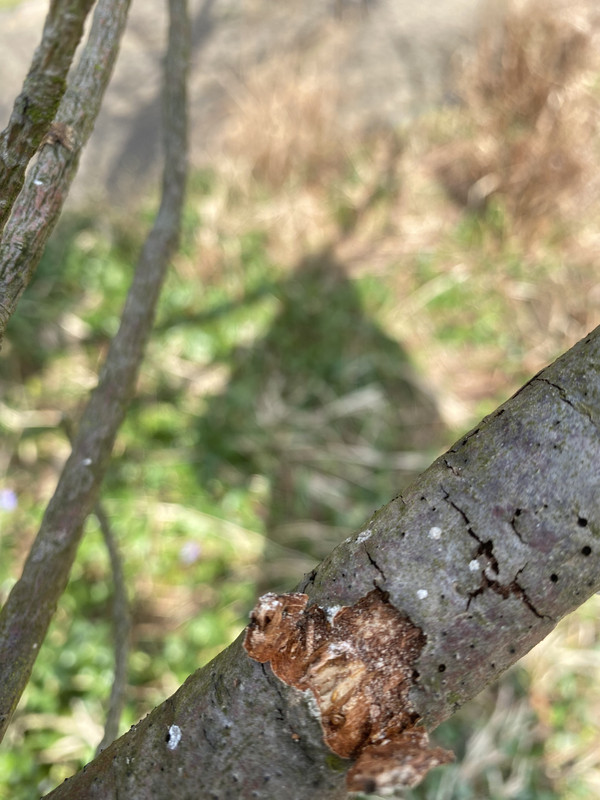 DDCEC379-8D9E-421E-85CE-2CFEA59E0644