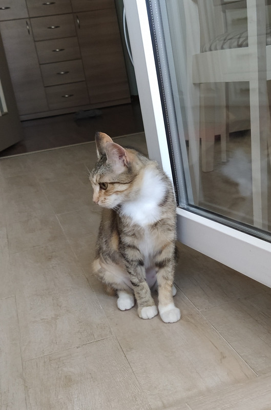 IMG_20210516_104646_2