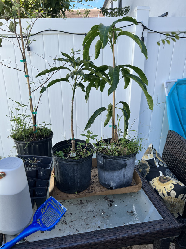 2F9A03C2-A684-4E6B-BD15-F54C9D694D19