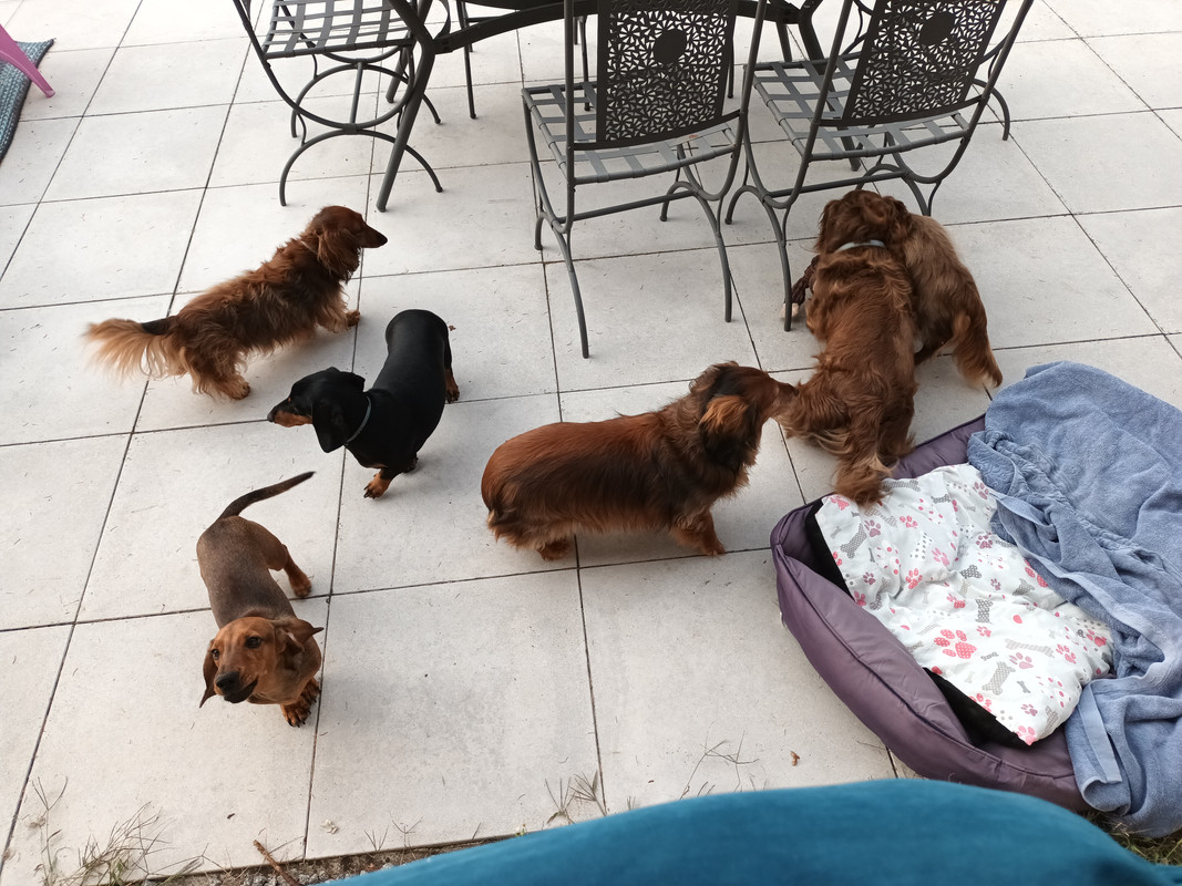 [Image: IMG-20230906-210914.jpg]