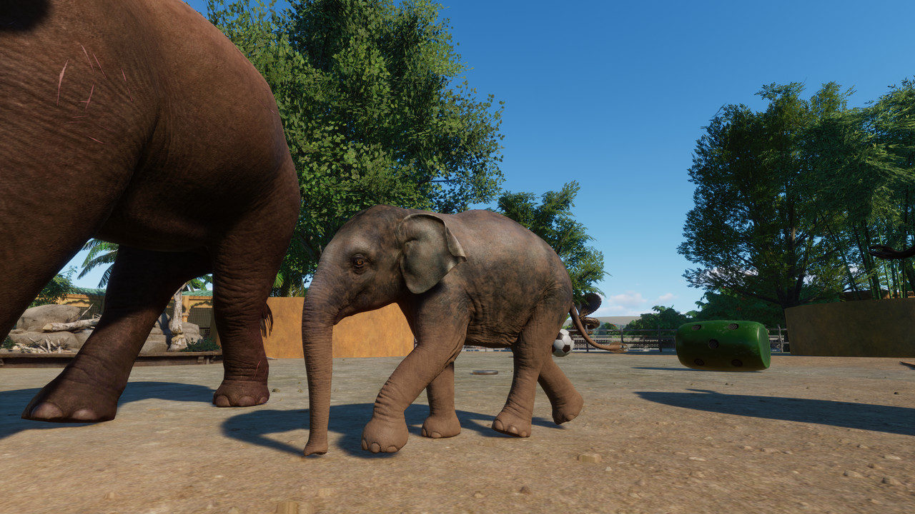 Planet-Zoo-Super-Resolution-2023-12-08-09-50-46-64.jpg