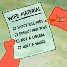 wifematerial