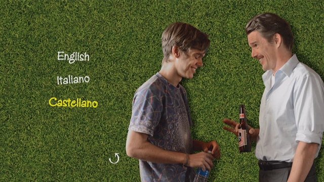 2 - Boyhood (Momentos De Una Vida) [DVD9Full] [PAL] [Cast/Ing/It] [Sub:Varios] [2014] [Drama]