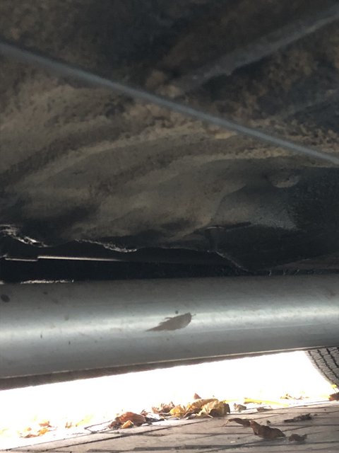 11E48E03-F86E-4DD1-A711-43632183A5C5