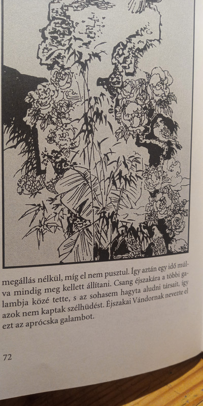Kép